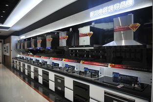 何止大吸力更乎大关怀 帅康引领家居品质升级的技术开发之路